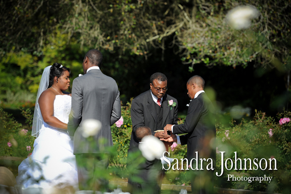 Best 310 Lakeside wedding photographer - Sandra Johnson (SJFoto.com)